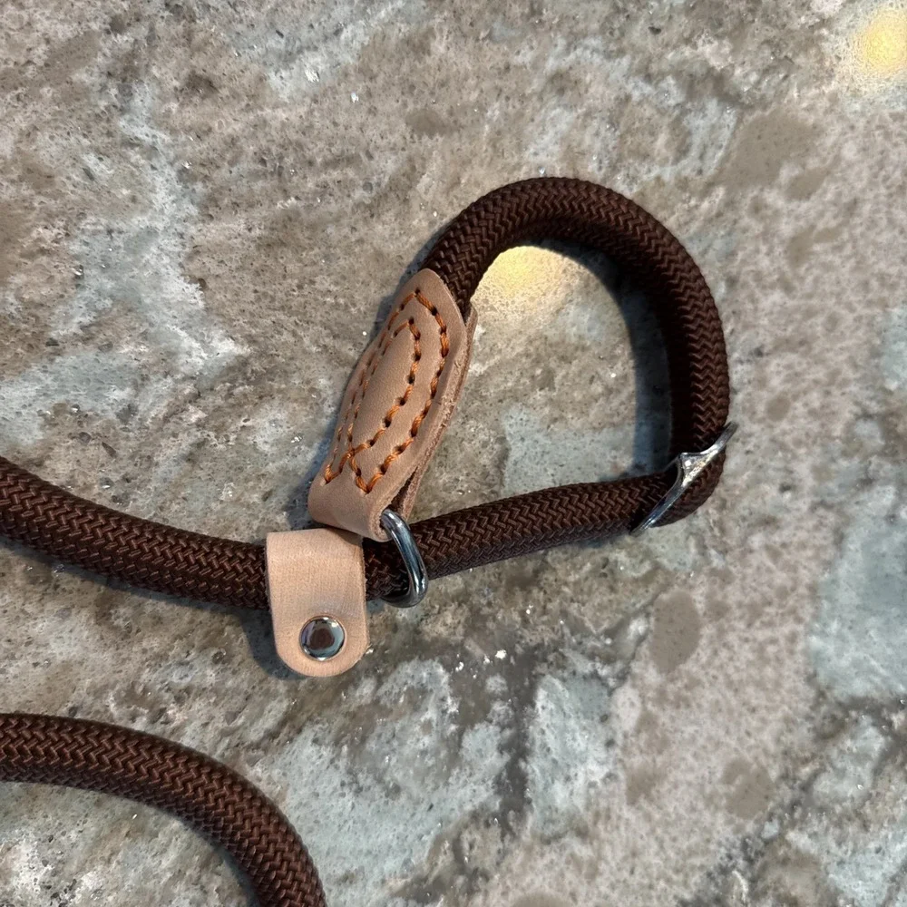 5' Nylon Leather Slip Lead Dog Leash Brown Dog Training Walking Exercise‎